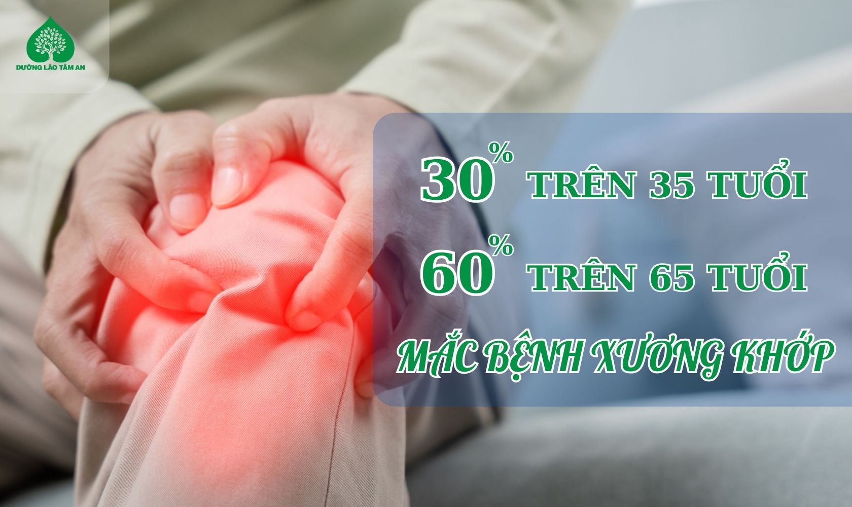 1 - Viện Lão Tâm An