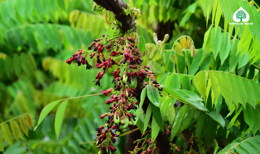 nổi mề đay làm sao hết