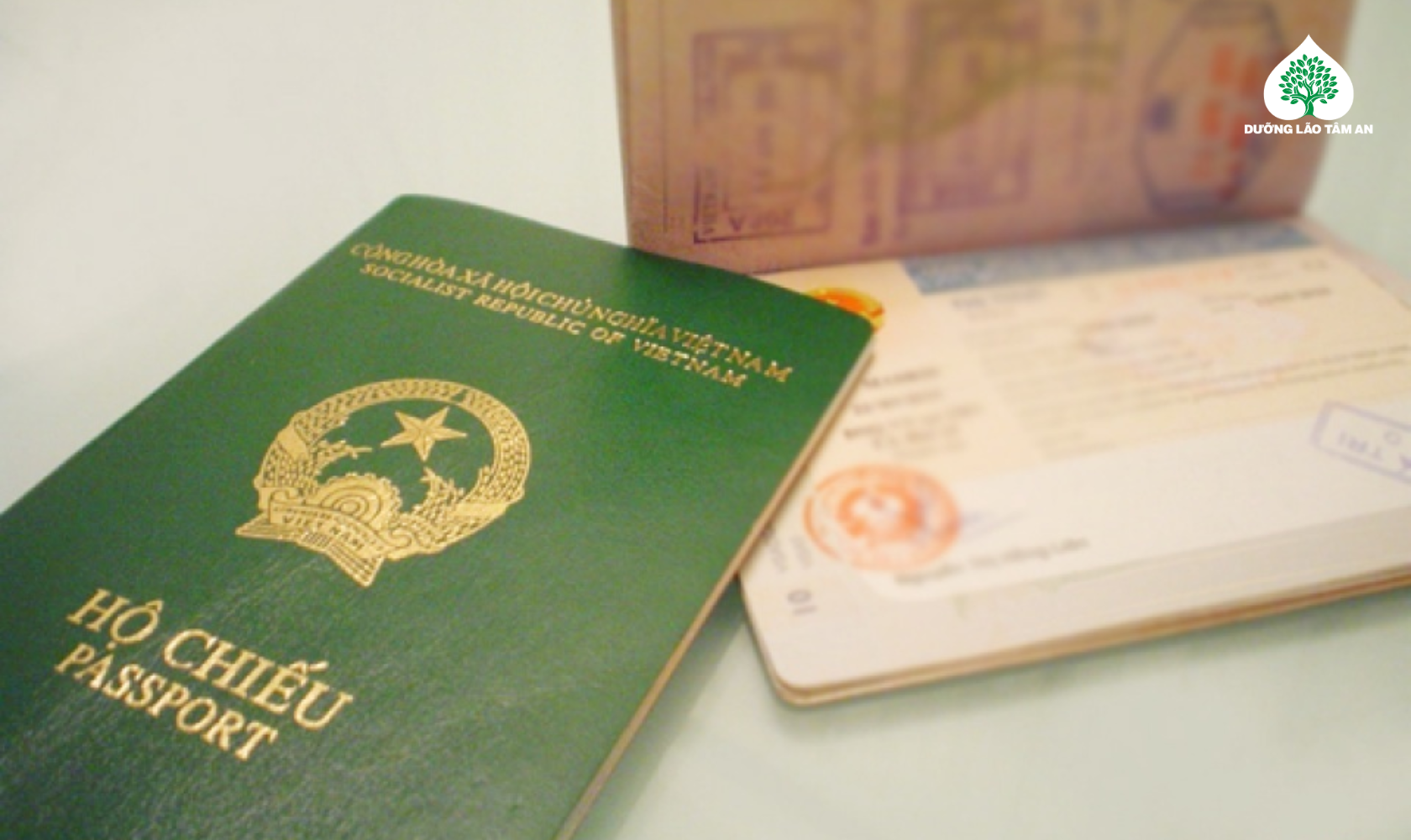 Người cao tuổi đi máy bay